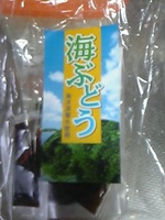 はじめて　です　（＾ｕ＾）