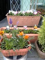 お花と種蒔き