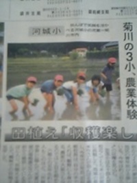 学校の行事 2007/05/29 17:05:55