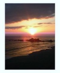 今年は、良い年に 2007/02/10 16:10:00