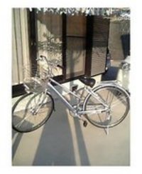 春ですね！ 2007/02/10 16:25:00