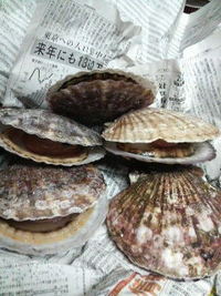頂き物(^o^)v 2008/12/30 10:59:37