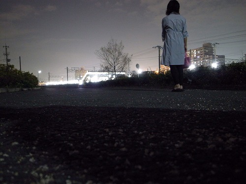 犬の目線　～夜の散歩～