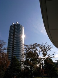 東京にて。 2011/11/27 23:07:36