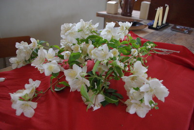 お花の季節。