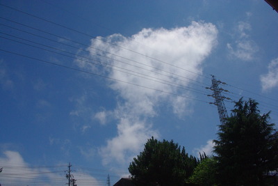 秋風