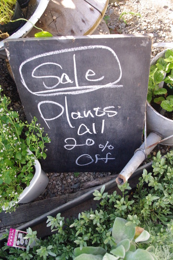 sale