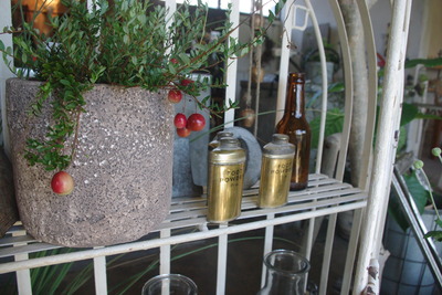 decorate