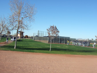 ＰＥＯＲＩＡ　ＳＰＯＲＴＳ　ＣＯＭＰＬＥＸ