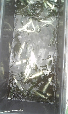 情けない・・・・・