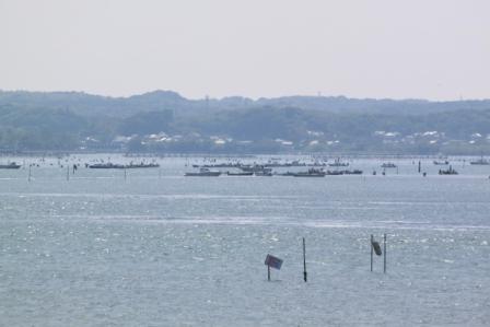 潮干狩り
