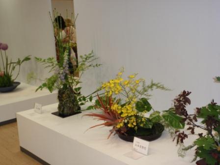 展覧会