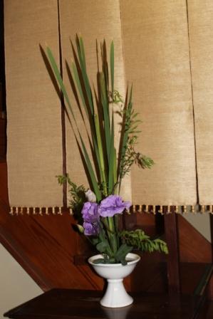 今日の花