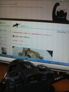 デジカメ日記