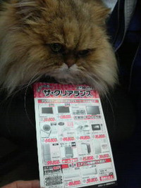 ザ・クリアランス 2010/01/29 16:50:35