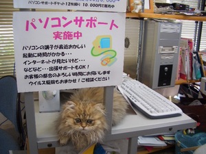 お気に入りの場所part2