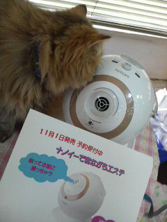 くんくん