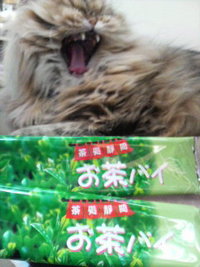 おやつ～♪ d(⌒o⌒)b♪ 2009/05/16 17:30:00
