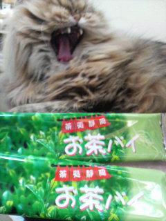 お茶パイ