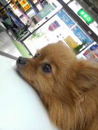 今日は海の日 2009/07/20 15:09:42