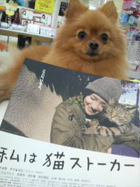 私は猫・・・ 2009/08/23 20:00:00