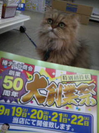 ５０周年大創業祭開催中～～～♪ 2009/09/20 12:34:28