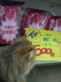 ま・・・間違えた(^_^;) 2009/09/27 11:24:38