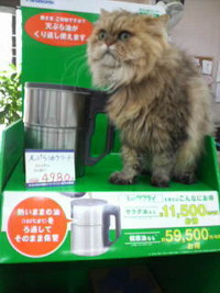 レッツエコ～♪ 2009/10/09 12:44:42