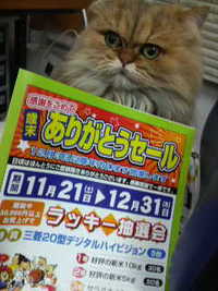 週末から売り出しで～す♪ 2009/11/17 17:58:25