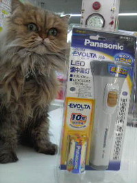 すぐれもの～ 2010/01/22 11:58:40