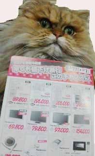 エコナビ新型冷蔵庫値下げ断行！ 2010/02/25 17:35:58