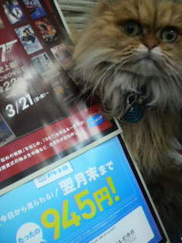 ９４５スタート割 2010/02/27 12:46:37