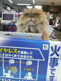 春季全国火災予防運動 2010/03/01 12:48:47