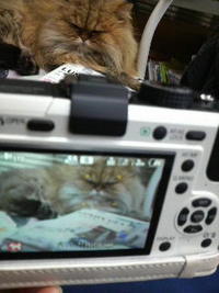 Panasonicデジカメ日記 2010/01/30 18:28:58