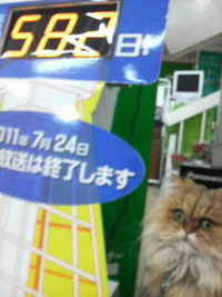 デジタルテレビ売れてま〜す 2009/12/19 17:14:08