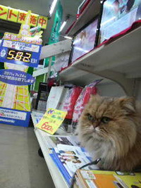 見張り中 2009/12/19 17:36:42