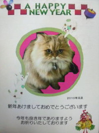 年賀状 2010/01/02 17:07:34