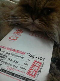 お楽しみお年玉くじ 2010/01/04 13:00:31