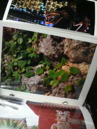 写真 2010/02/12 01:09:08