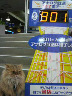 地デジだニャッ