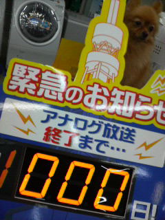 椿にまかせてワン！