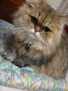 MOKOのぉ～～～