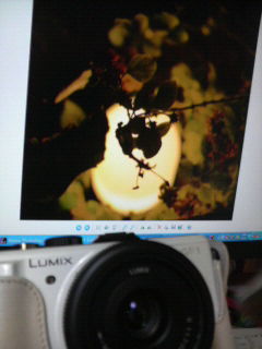 LUMIX GF1