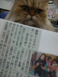 中日新聞に載ったニャン