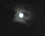 今夜は
