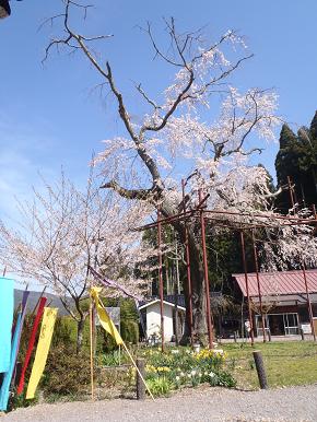 弘法さまの祭りと弘法さまの山