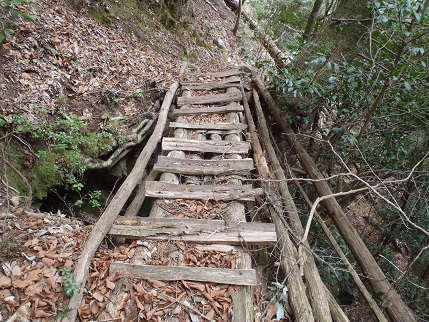 八嶽山・袖山②