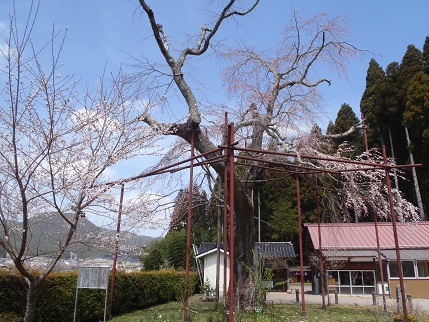 弘法さま