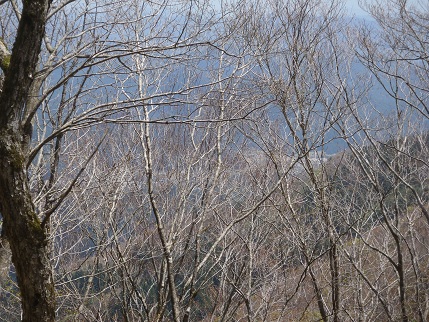再度碁盤石山へ（東納庫側鉄塔から）