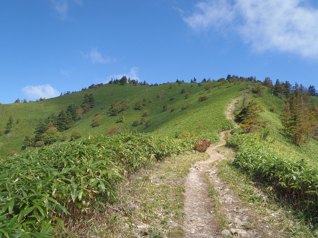 大川入山